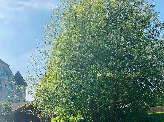 Apartamento Strandperle Timmendorfer Strand